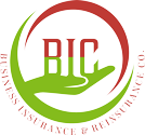 BIC S.A logo
